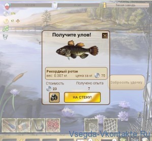 Секреты игры Рыбное место В Контакте