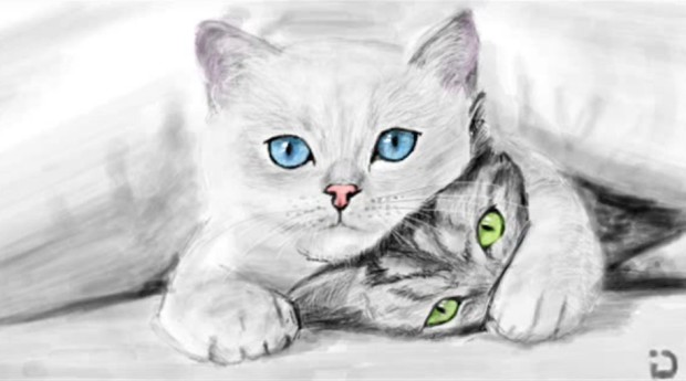 Как нарисовать котенка В Контакте